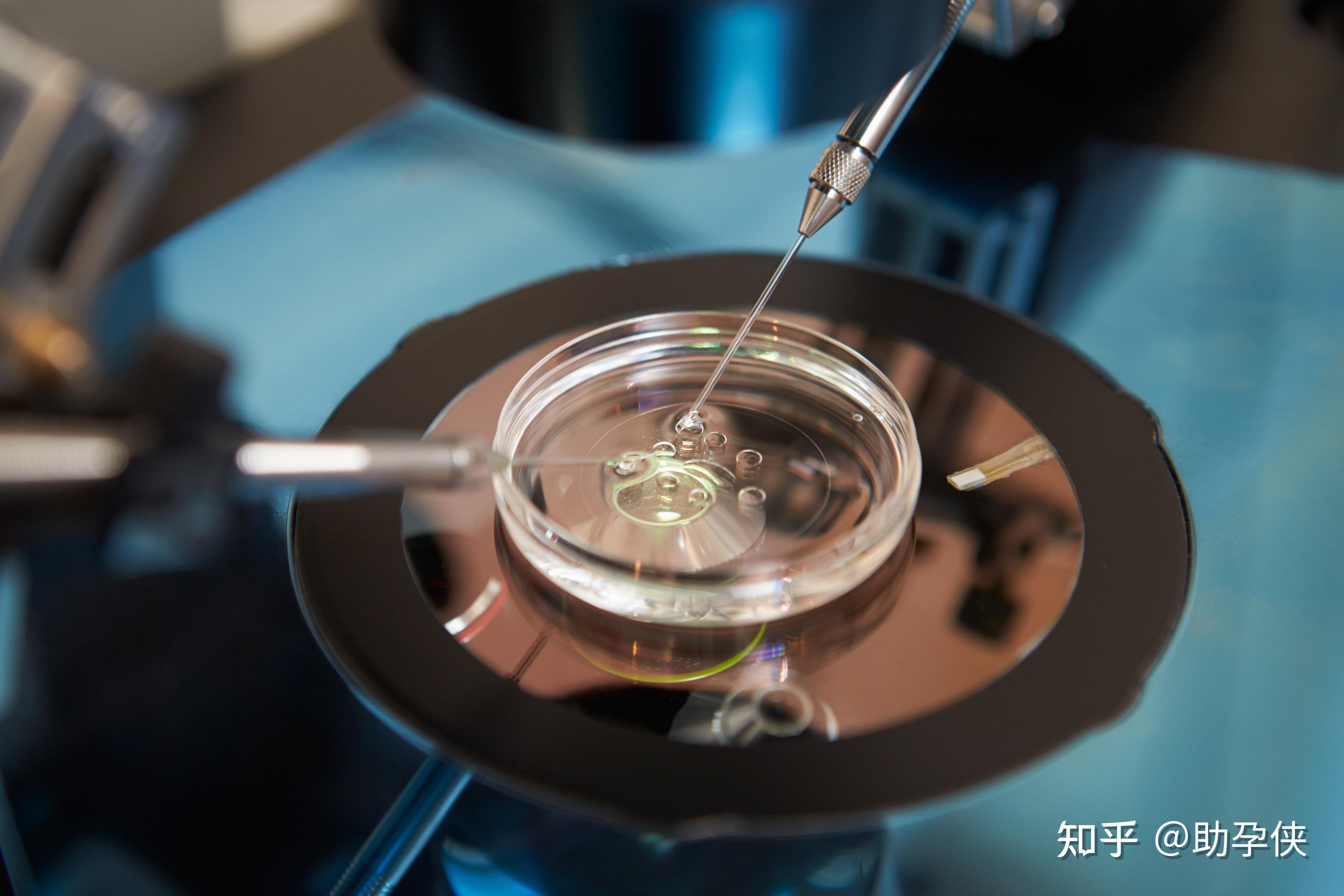 来例假过性生活有什么影响 来例假过性生活有什么影响嘛