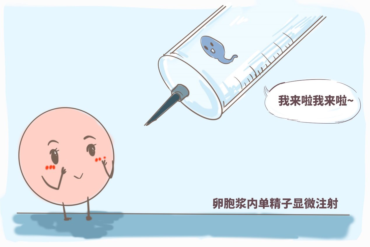 最容易滑胎的十种蔬菜 易致滑胎的菜